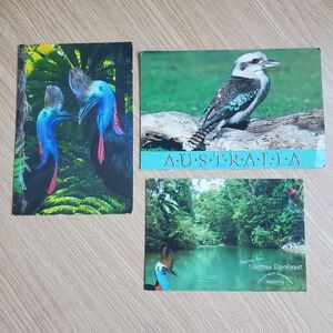 Vintage Australia Postcards‎ Kookaburra Daintree Rainforest Cassowary